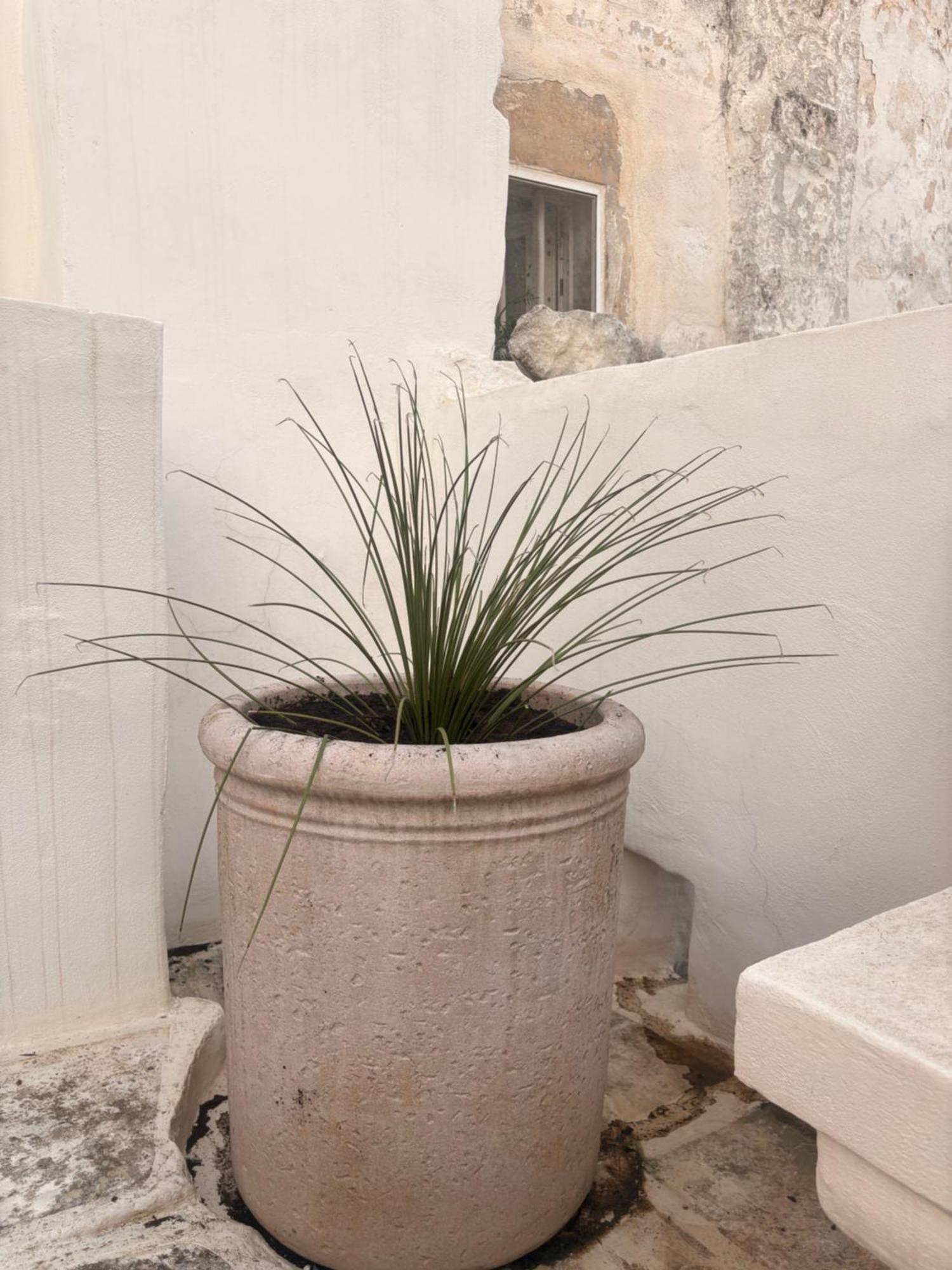 Palazzoliva - Luxury Boho Chic Guest House In The Historic Heart Of Martina Franca Exterior foto
